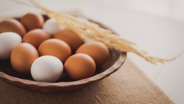 Bahar ve Paskalya tatil kavramı. Paskalya yumurta boyalı mavi ve beyaz, pastel renk arka plan. Beyaz izole.