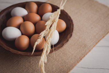 Bahar ve Paskalya tatil kavramı. Paskalya yumurta boyalı mavi ve beyaz, pastel renk arka plan. Beyaz izole.