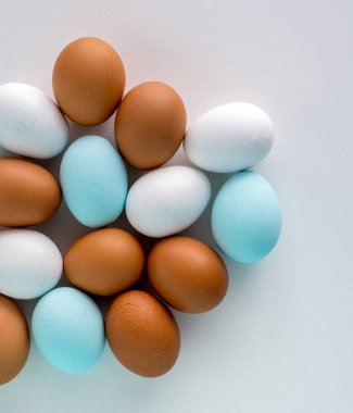 Bahar ve Paskalya tatil kavramı. Paskalya yumurta boyalı mavi ve beyaz, pastel renk arka plan. Beyaz izole.