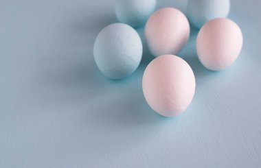 Bahar ve Paskalya tatil kavramı. Paskalya yumurta boyalı mavi ve beyaz, pastel renk arka plan. Beyaz izole.