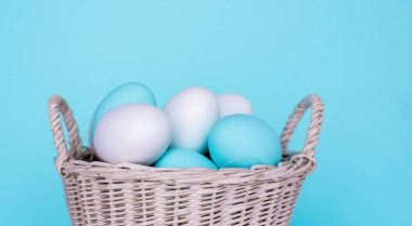 Beyaz sepet, pastel renk arka planda geleneksel Boyalı Paskalya yumurtası. Bahar ve Paskalya tatili konsepti.