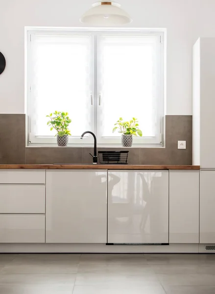 Gepflegte Moderne Weiße Küche Mit Lackierten Mdf Platten Mit Zubehör — Stockfoto