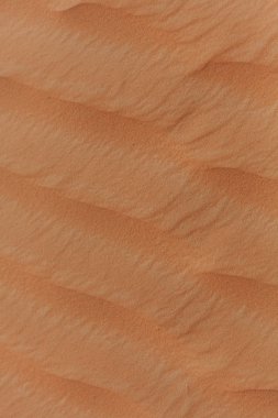 Dubai'de kum ulağında kum sallar. Çölün Kum Tepeleri