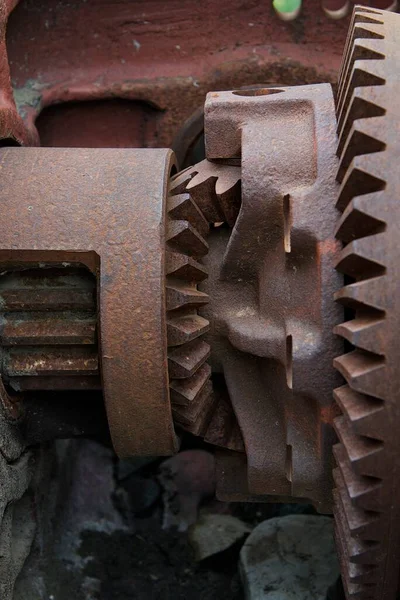 Fragment of the inside of the engine mechanism, gearbox. Metal gears in the mechanism.