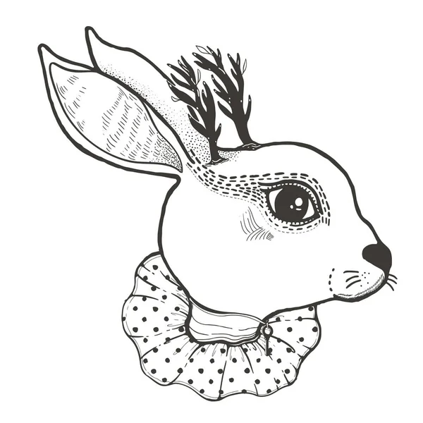 Illustrazione Grafica Schizzo Circus Rabbit Con Mistici Occulti Simboli Disegnati — Vettoriale Stock