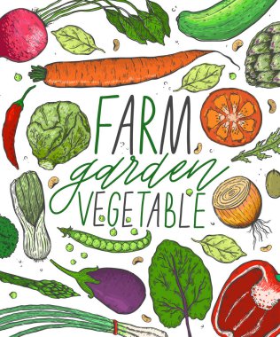 Vektör sebze gerçekçi kroki tarzı büyük kümesi. Sağlıklı gıda, doğal ürün, sebze çiftliği, vegan gıda, spor ve beslenme. Vintage illüstrasyon.