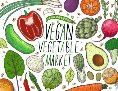 Vektör sebze gerçekçi kroki tarzı büyük kümesi. Sağlıklı gıda, doğal ürün, sebze çiftliği, vegan gıda, spor ve beslenme. Vintage illüstrasyon.