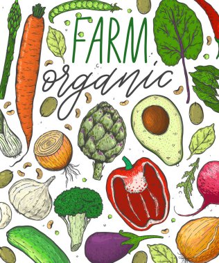 Vektör sebze gerçekçi kroki tarzı büyük kümesi. Sağlıklı gıda, doğal ürün, sebze çiftliği, vegan gıda, spor ve beslenme. Vintage illüstrasyon.