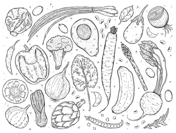 Векторный Большой Набор Овощей Реалистичном Монохромном Стиле Скетч Здоровое Питание — стоковый вектор
