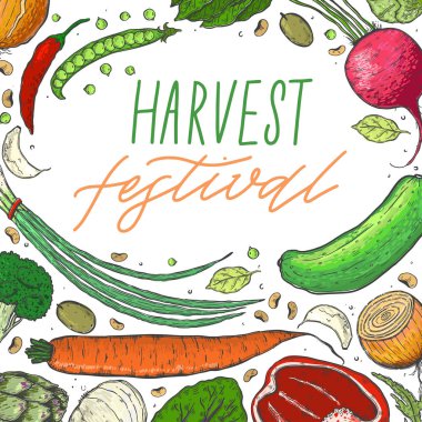 Vektör sebze gerçekçi kroki tarzı büyük kümesi. Sağlıklı gıda, doğal ürün, sebze çiftliği, vegan gıda, spor ve beslenme. Vintage illüstrasyon.