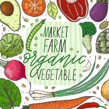 Vektör sebze gerçekçi kroki tarzı büyük kümesi. Sağlıklı gıda, doğal ürün, sebze çiftliği, vegan gıda, spor ve beslenme, hasat festivali. Vintage illüstrasyon.