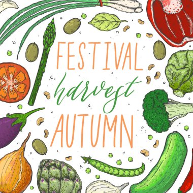 Vektör sebze gerçekçi kroki tarzı büyük kümesi. Sağlıklı gıda, doğal ürün, sebze çiftliği, vegan gıda, spor ve beslenme. Vintage illüstrasyon.