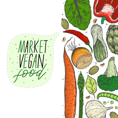 Vektör sebze gerçekçi kroki tarzı büyük kümesi. Sağlıklı gıda, doğal ürün, sebze çiftliği, vegan gıda, spor ve beslenme, hasat festivali. Vintage illüstrasyon.