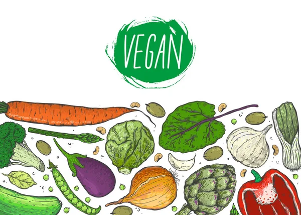 Vector Gran Conjunto Verduras Estilo Boceto Realista Comida Saludable Producto — Archivo Imágenes Vectoriales