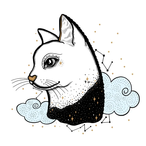 Skiss Grafisk Illustration Katt Med Mystic Och Ockulta Hand Dras — Stock vektor