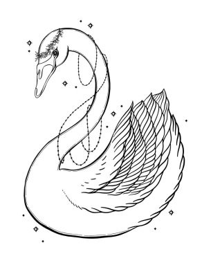 Eskiz grafik illüstrasyon güzel kuğu fairytale karakter mistik ve gizli el ile sembolleri çizilmiş. Vektör çizim. Vintage eski moda Tattoos.Freemasonry ve gizli dernekler Amblemler elleriyle