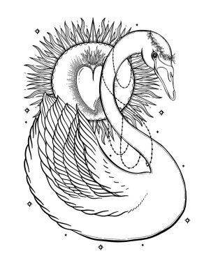 Eskiz grafik illüstrasyon güzel kuğu güneş fairytale karakter mistik ve gizli el ile sembolleri çizilmiş. Vektör çizim. Vintage eski moda Tattoos.Freemasonry ve gizli dernekler Amblemler elleriyle