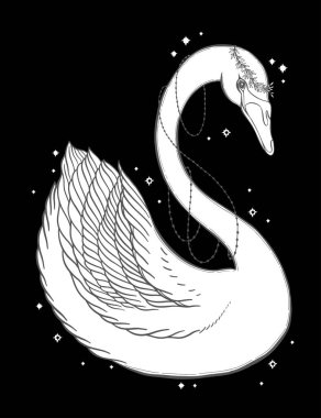 Eskiz grafik illüstrasyon güzel kuğu güneş fairytale karakter mistik ve gizli el ile sembolleri çizilmiş. Vektör çizim. Eski moda dövmeli Vintage el t gömlek yazdırın. Masonluk ve gizli dernekler Amblemler