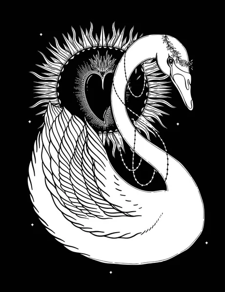 Эскиз Графической Иллюстрации Beautiful Swan Sun Fairytale Character Mystic Occult — стоковый вектор