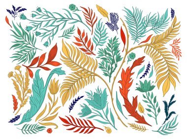Soyut doğa koleksiyonu elle çizilmiş ayarlayın. Etnik süsleme, çiçek baskı, tekstil kumaş, botanik öğesi. Vintage retro tarzı. Çiçek yaprakları ve diğer doğal nesne görüntüsü. Vektör çizim.