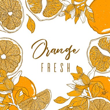 Mürekkep çizilen çerçeve turuncu meyve ver. Gıda öğe koleksiyonu. Vintage kroki. Renk etiketini ürünleri, ambalaj tasarımı vektör çizim