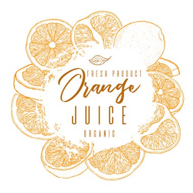 Mürekkep çizilen çerçeve turuncu meyve ver. Nesneleri kontur rengi. Gıda öğe koleksiyonu. Vintage kroki. Renk etiketini ürünleri, ambalaj tasarımı vektör çizim