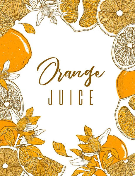 Atrament Ręcznie Narysowane Klatki Pomarańczowy Owoc Kolekcja Element Żywności Vintage — Wektor stockowy