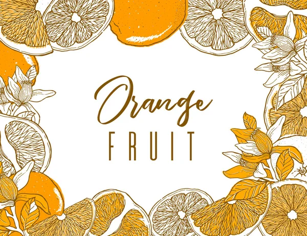 Rukopis Rukou Nakresleným Snímkem Oranžové Ovoce Jídlo Prvek Kolekce Vintage — Stockový vektor