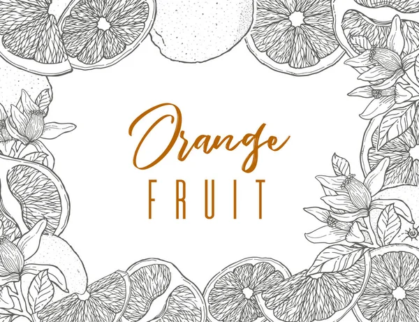 Encre Dessinée Main Cadre Fruits Orange Contour Noir Collection Éléments — Image vectorielle