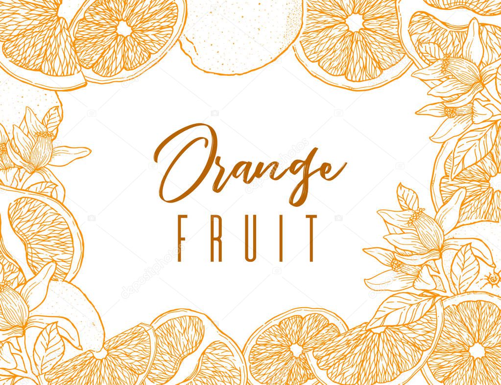 Ink hand drawn frame of orange fruit. Color contour of objects.Food element collection. Vintage sketch. Color label for products, package design Vector illustration
