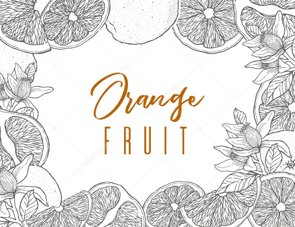 Ink hand drawn frame of orange fruit, black outline. Food element collection. Vintage sketch. Black outline. Vector illustration