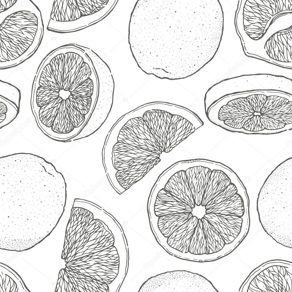 Ink hand drawn seamless pattern of orange fruit. Food element collection. Vintage sketch. Black outline. Vector illustration