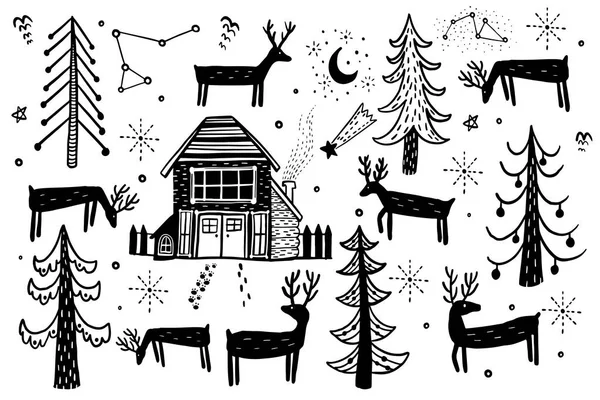 Vector Hand Drawn Forest Winter Set Elements Design Christmas Pine — Stock Vector