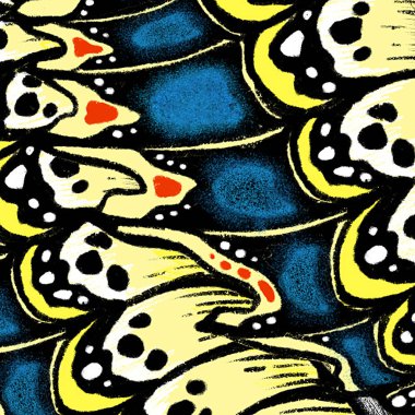 Kelebek kanatları arka plan doku ve ayrıntılar. Makro resim ayrıntıları. Handdrawn illüstrasyon