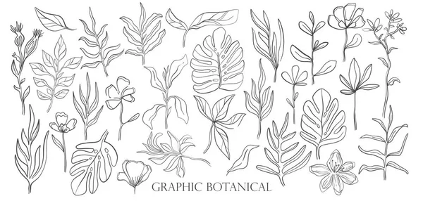 手绘集合素描样式野花 线条自然风格 绘制植物区系 手绘植物学 向量例证 — 图库矢量图片