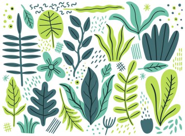 Yaprakları düz ayarlamak. Beyaz arka plan üzerinde izole tropikal bitki. Doğa basit yeşil çiçek. En az tarzı fantezi.