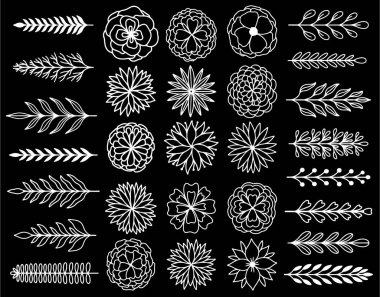 Soyut dal doğa ve çiçek seti toplama el çizilmiş bırakır. Etnik süs, çiçek baskı, tekstil kumaş, botanik eleman. 