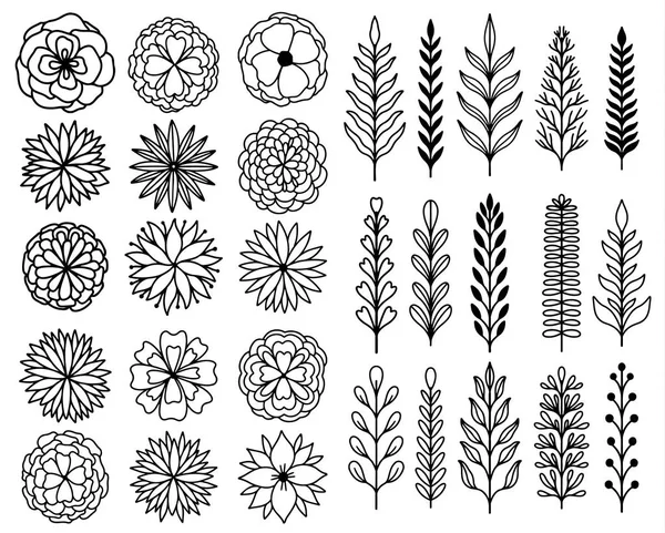 Abstracte tak verlaat natuur en bloem set collectie hand getrokken. Etnische ornament, bloemen print, textielweefsel, botanische element. — Stockvector