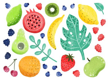 Meyve seti beyaz arka planda izole. Elle çizilmiş stil.