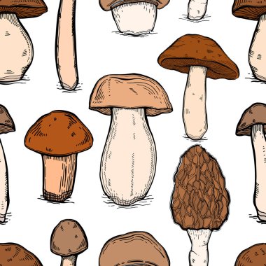 Mantarlar dikişsiz desen vintage. El çizilmiş stil kroki.Organik vejetaryen ürün.