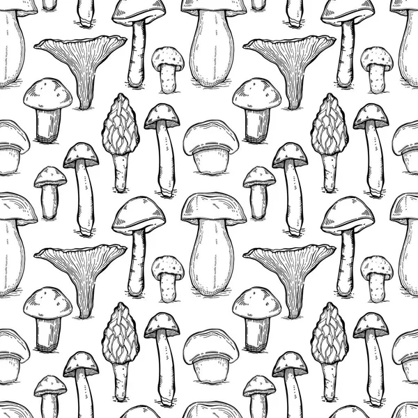 Mushrooms seamless pattern vintage. Hand drawn style sketch.Organic vegetarian product. — Stock Vector