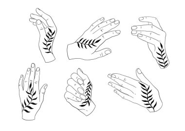 Soyut set el çizimi. Çizgi sanatçısı, yaratıcı kadınlar, çizimler..