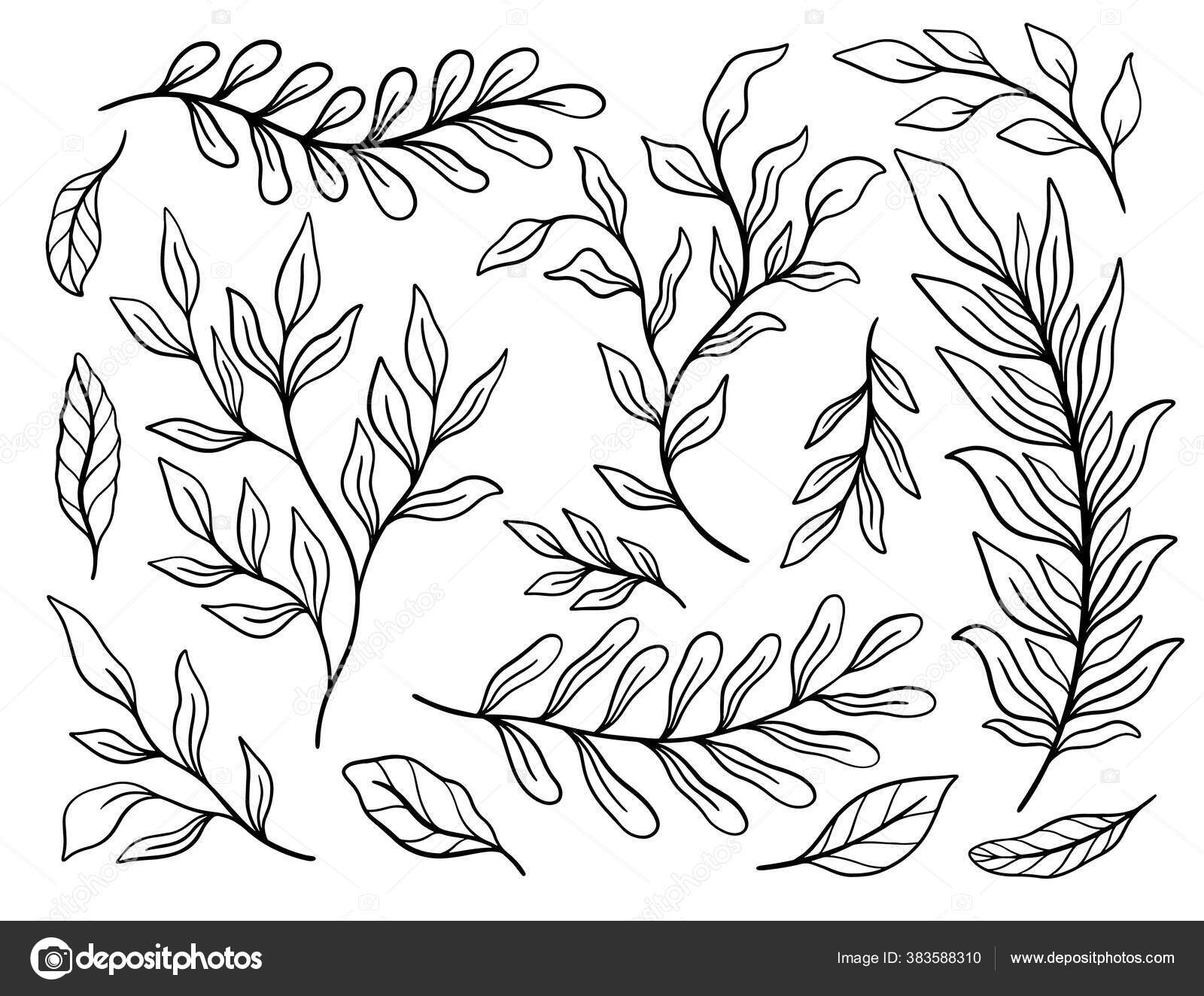 Tumbuhan Tropis Set Daun Elemen Bunga Botani Background Design Untuk Stok Vektor C Arina Ulyasheva 383588310