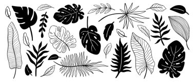 Tropik bitki yaprağı seti. Botanik çiçek elementleri. Ev dekorasyonu, kumaş, halı, ambalaj için tasarım. Vektör illüstrasyonu