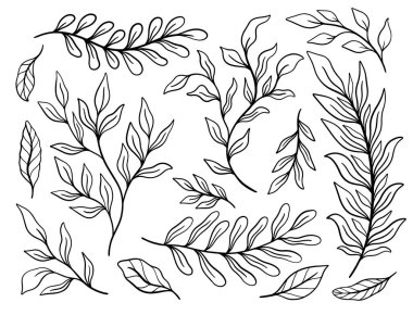 Tropik bitki yaprağı seti. Botanik çiçek elementleri. Ev dekorasyonu, kumaş, halı, ambalaj için tasarım. Vektör illüstrasyonu