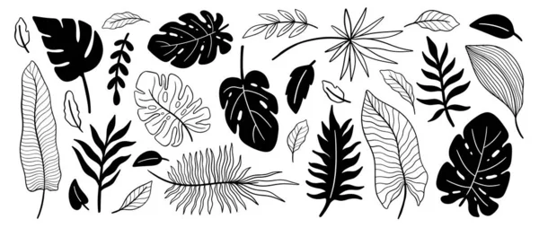 Conjunto Hojas Plantas Tropicales Fondo Elemento Floral Botánico Diseño Para — Vector de stock