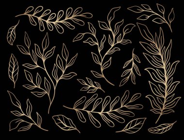 Tropik bitki yaprağı seti. Botanik çiçek elementleri. Ev dekorasyonu, kumaş, halı, ambalaj için tasarım. Vektör illüstrasyonu