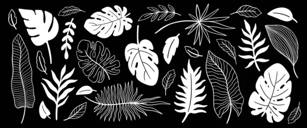 Тропический Набор Листьев Растений Ботанический Цветочный Элемент Фона Дизайн Домашнего — стоковый вектор