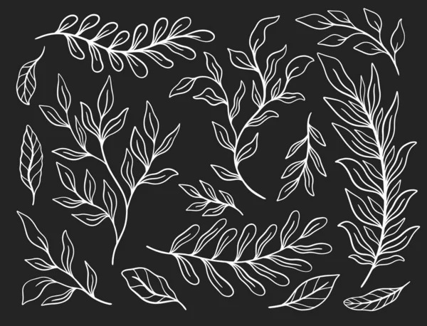 Tropisch Plantenblad Set Botanische Bloemenelement Achtergrond Ontwerp Voor Home Decor — Stockvector