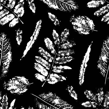 Desensiz monotip yaprak bitkisi. Botanik damga izi, Vektör illüstrasyonu